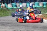 20110501_ales_agnus (2923)